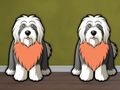 Gioco Trova il cane Bailey  in linea