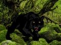 Gioco Fuga dalla foresta della Pantera Nera  in linea