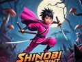 Gioco Sprint ninja  in linea