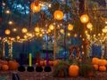 Gioco Fuga in giardino incantevole di Halloween  in linea