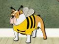 Gioco Trova il cane da compagnia con Boy Lewis  in linea