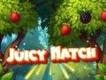 Gioco Partita succosa  in linea