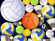 Gioco Fusione sportiva  in linea