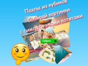 Gioco I puzzle Jigsaw Cube raccolgono immagini con simpatici gattini  in linea