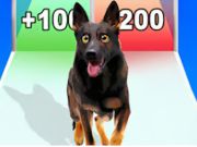 Gioco Corsa all'evoluzione del cane  in linea