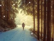 Gioco Stelle nascoste nell'inverno  in linea