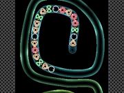 Gioco TD Neon Riprese  in linea