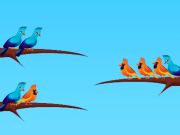 Gioco Ordinamento di uccelli  in linea