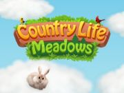 Gioco Prati di vita di campagna  in linea