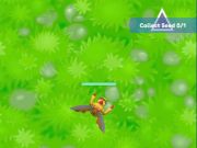 Gioco Impollinatore  in linea