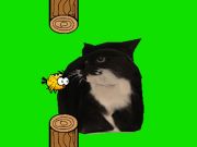 Gioco Uccello flappy che gira oia oia gatto  in linea