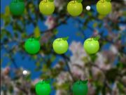 Gioco Mela succosa  in linea