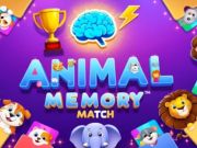 Gioco Match di memoria degli animali  in linea