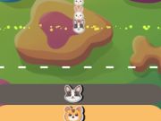 Gioco Animali pazzi  in linea