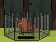 Gioco Salvare il bisonte dalla gabbia  in linea