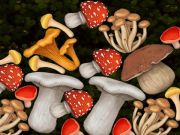 Gioco Unisci il fungo  in linea