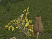 Gioco Topo forestale  in linea
