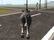 Gioco Crazy Bull City  in linea