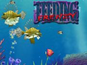 Gioco Nutrire la frenesia in linea