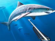 Gioco Cacciare la pesca subacquea in linea
