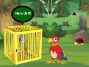 Gioco Rilassazione Buddy macaw intrappolato in linea