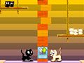Gioco Kocani gatti in linea