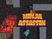 Gioco Ninja Assassin in linea