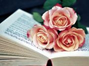 Gioco Libro di Blooms Jigsaw in linea
