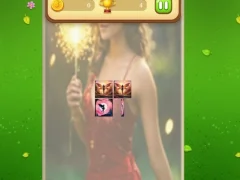 Gioco Fairy Memory Match in linea