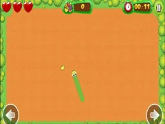 Gioco Fruit Snake in linea