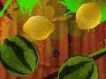 Gioco Fruit Break in linea