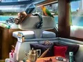 Gioco Caribbean Crime in linea