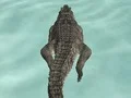 Gioco Crocodile Simulator Beach Hunt in linea