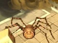 Gioco Spider Simulator: Amazing City in linea