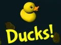 Gioco Ducks! in linea