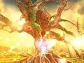 Gioco Forest of Wonders in linea