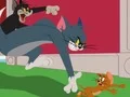 Gioco Tom and Jerry: Chasing Jerry in linea