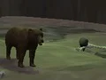 Gioco Bear Den in linea