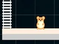 Gioco Hamster Grid Even Odd in linea