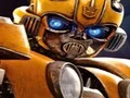 Gioco Bumblebee Hidden Spots in linea
