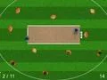 Gioco Quicket in linea