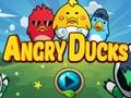 Gioco Angry Ducks in linea