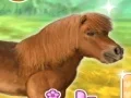 Gioco My Dear Pony in linea