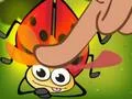 Gioco Insect Cush in linea