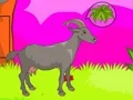 Gioco Wolf Escape in linea