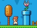 Gioco Ninja Plumber in linea