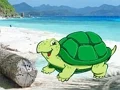 Gioco Beach Crab Pair Escape in linea