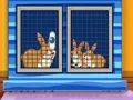 Gioco Find The Animal First Aid Kit in linea