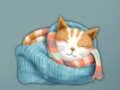 Gioco Adorable Escape Find Cute Kitten in linea