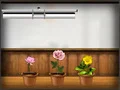 Gioco Amgel Kids Room Escape 105 in linea